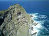 capepoint.JPG (770749 bytes)